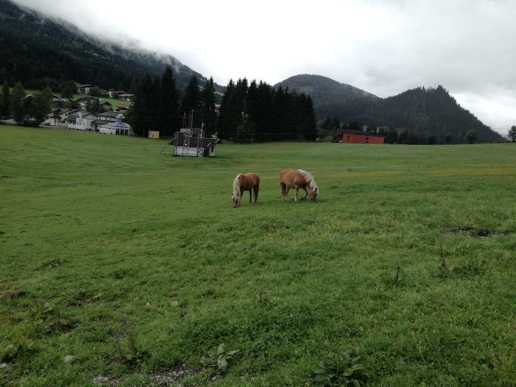 Apartment Knablhof Sankt Martin am Tennengebirge Kültér fotó