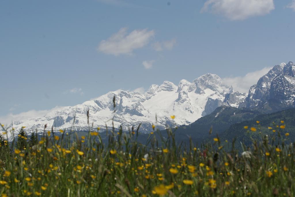 Apartment Knablhof Sankt Martin am Tennengebirge Kültér fotó